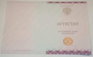 Аттестат 9 классов 2014-2025 года